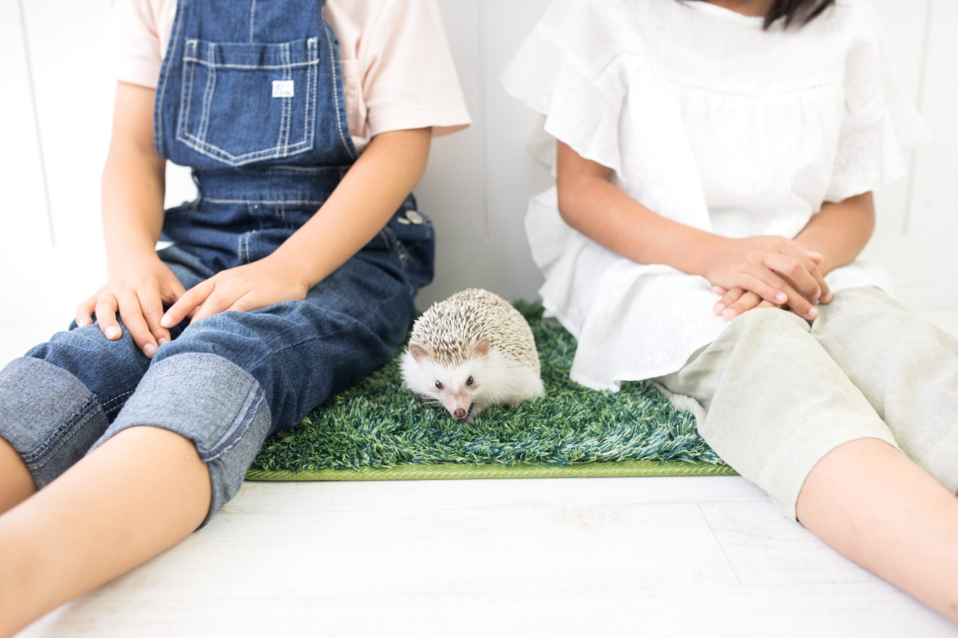 形成外科で治療して快適な生活を取り戻そう