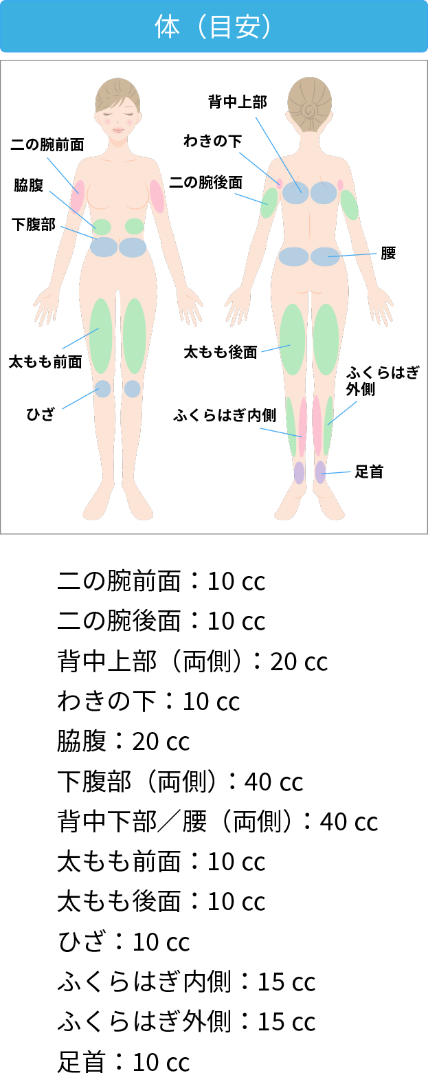 体(目安)。二の腕前面:10cc。二の腕後面:10cc。背中上部(両側):20cc。わきの下:10cc。脇腹:20cc。下腹部(両側):40cc。背中下部/腰(両側):40cc。太もも前面:10cc。太もも後面:10cc。ひざ:10cc。ふくらはじ内側:15cc。ふくらはぎ外側:15cc。足首:10cc。