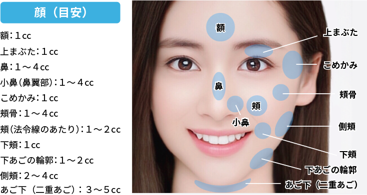 顔(目安)。額:1cc。上まぶた:1cc。鼻:1~4cc。小鼻(鼻翼部):1~4cc。こめかみ:1cc。頬骨:1~4cc。頬(法令線のあたり):1~2cc。下頬:1cc。下あごの輪郭:1~2cc。側頬:2~4cc。あご下(二重あご):3~5cc。