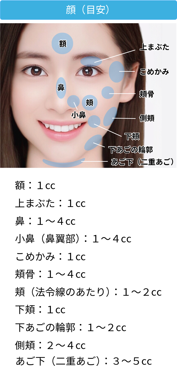 顔(目安)。額:1cc。上まぶた:1cc。鼻:1~4cc。小鼻(鼻翼部):1~4cc。こめかみ:1cc。頬骨:1~4cc。頬(法令線のあたり):1~2cc。下頬:1cc。下あごの輪郭:1~2cc。側頬:2~4cc。あご下(二重あご):3~5cc。