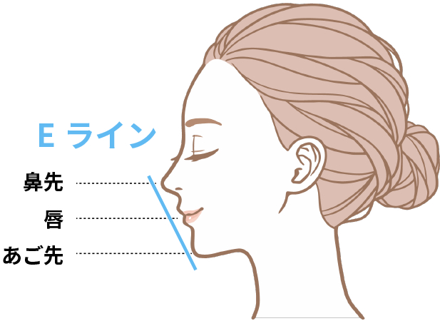 鼻根、鼻背、鼻尖、鼻柱、鼻孔、尾翼