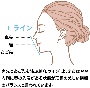 鼻根、鼻背、鼻尖、鼻柱、鼻孔、尾翼