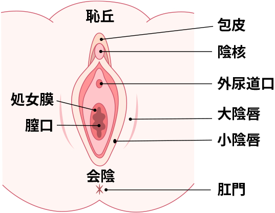 鼻根、鼻背、鼻尖、鼻柱、鼻孔、尾翼