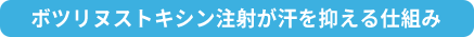 ボツリヌストキシン注射が汗を抑える仕組み